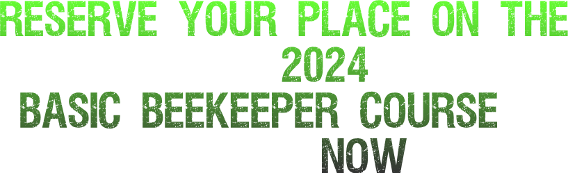 Reserve Your Place on the 2024 Basic Beekeeper Course Now